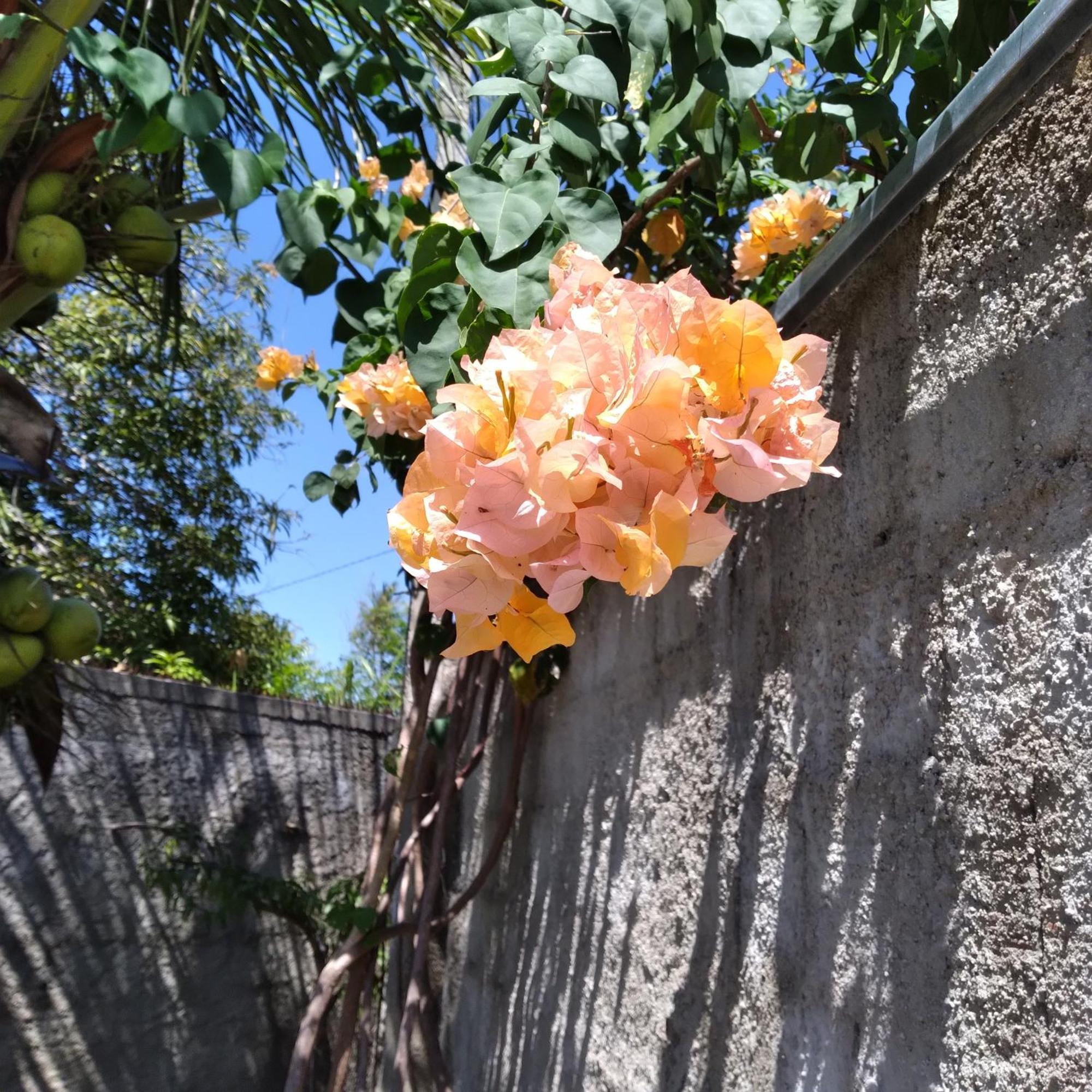 Casa China & Silva, Otima Casa Para Praia Ou Descanso, Proximo As Dunas Da Sabiaguaba E Shoppings Em Eusebio E Fortaleza Ce מראה חיצוני תמונה